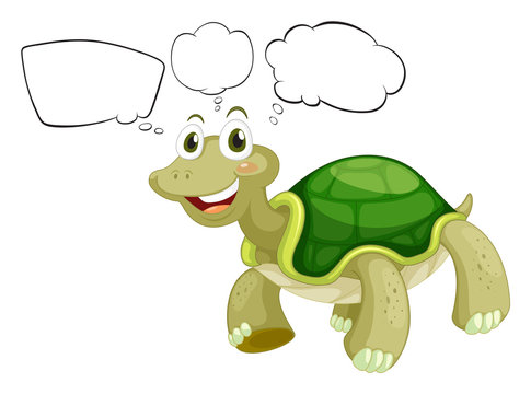 A thinking turtle