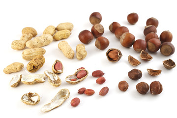 nuts a filbert and a peanut in a shell