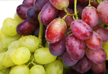 fresh green and rose grapes