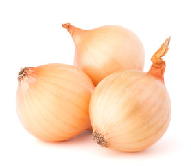 Onion vegetable bulbs