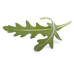 Sweet rucola salad or rocket lettuce leaves