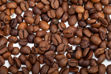 coffee beans close up isolated on white