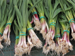 Bottes d'aillet sur le marché