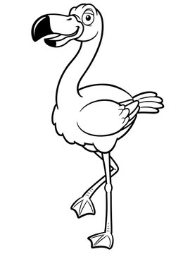 illustration of cartoon flamingo - Coloring book