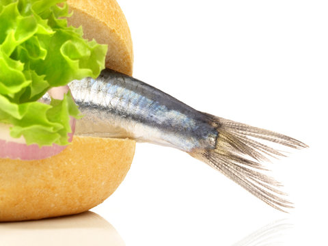 Fischbr&ouml;tchen