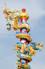 Fototapeta premium dragon