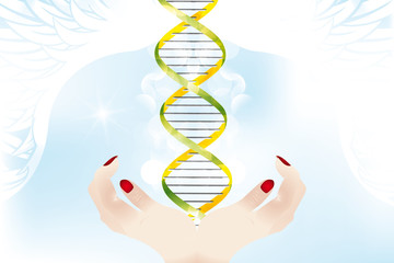 Creation of life