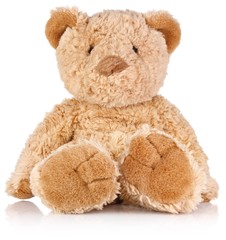 teddy  bear sitting