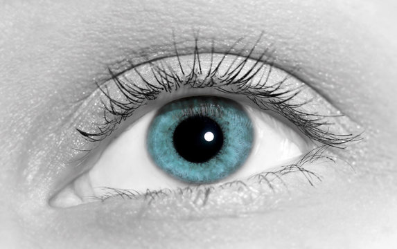 Close-up of woman blue eye