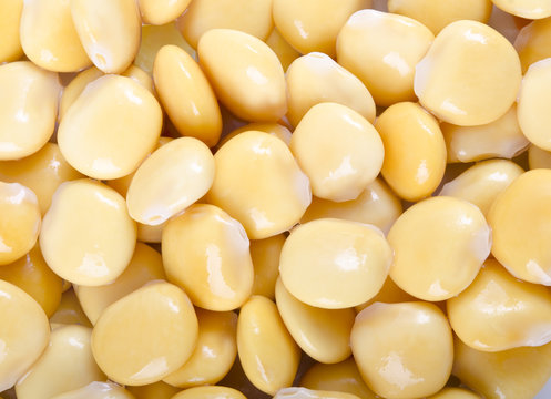 "Altramuces" lupines texture