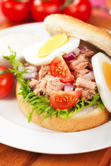 Fototapeta na wymiar Tuna sandwich