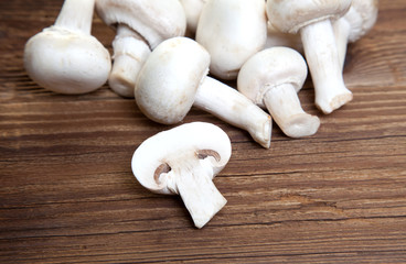 Champignons auf Holz I