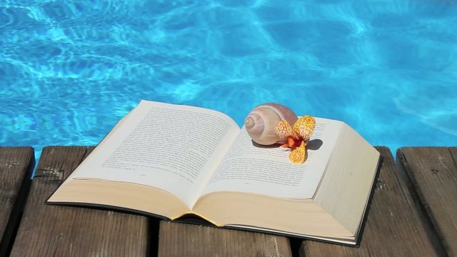 Pool - 001 - Buch - Schneckenhaus - Bl&uuml;te