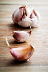 Garlic