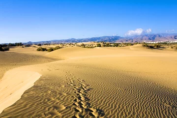 Deurstickers Desert "Dunas de Maspalomas" in Gran Canaria island,Spain © anilah