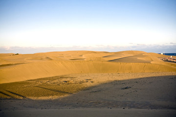 Fototapeta na wymiar Desert 