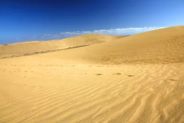 Fototapete Rund Desert "Dunas de Maspalomas" in Gran Canaria island,Spain © anilah