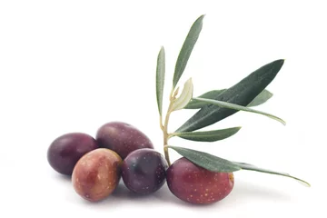 Fotobehang Branch of olive with fruit © draganica