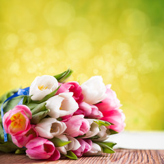 Tulpen vor Frühlingshintergrund