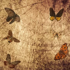 Peel and stick wall murals Butterflies in Grunge butterfly wood grunge background