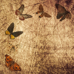 butterfly wood grunge background