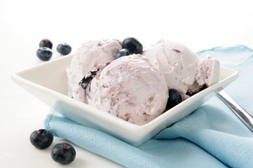 Gourmet blueberry ice cream