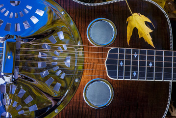 Close up autumn of a Dobro guitar