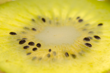 kiwi fruit