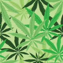 Wallpaper with green leavs of cannabis