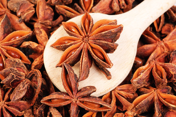 Fresh anise-star, nature spice background