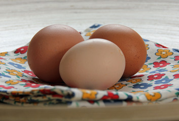 Eier