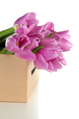Beautiful bouquet of purple tulips in paper box, isolated