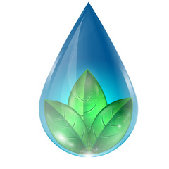 drop of water with green leaves