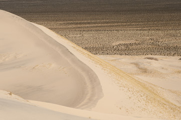 Fototapeta na wymiar Kelso sand dunes