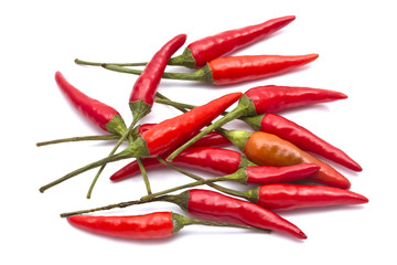 Red Chilli