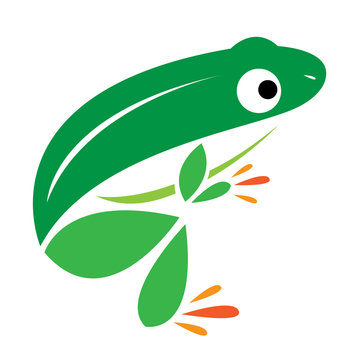 Vector image of an frog on a white background