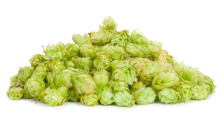 A pile of hops