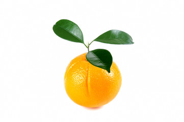Ripe orange on white background