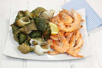 bulots et crevettes
