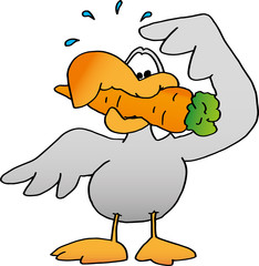 volatile_carota
