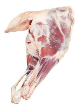 The back of the sheep carcasses