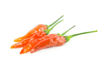 Red chili on white background