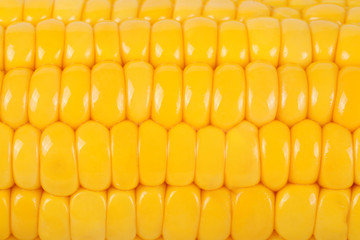 Photo of yellow corn background
