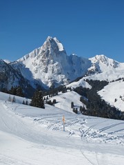 R&uuml;eblihorn, mountain near Gstaad