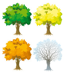 Vector set. Tree at four seasons