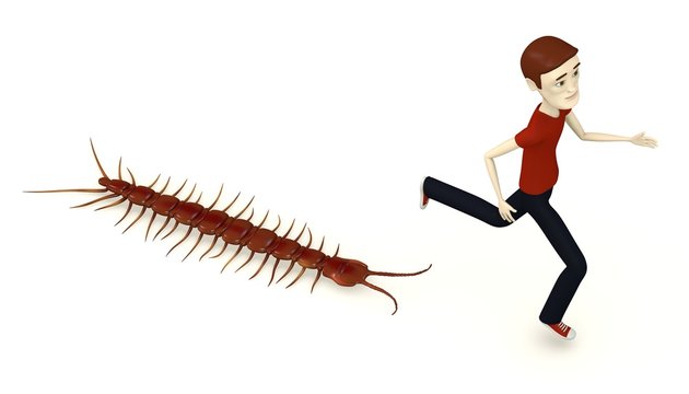 3d render of cartoon character with lithobius