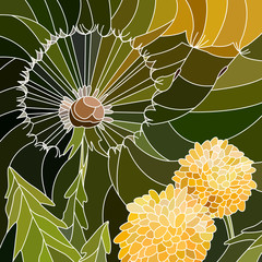 Naklejki  Vector illustration of flowers dandelion.