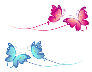 butterfly,butterflies