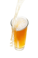 Beer in glass isolated on white background