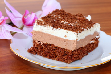 piece of chocolate cake